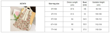 Bear Leader Rose Pink Plaid Bow Dress