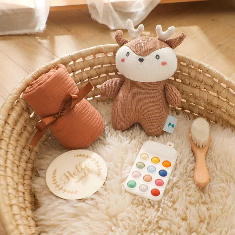 Newborn Milestone Card Crochet