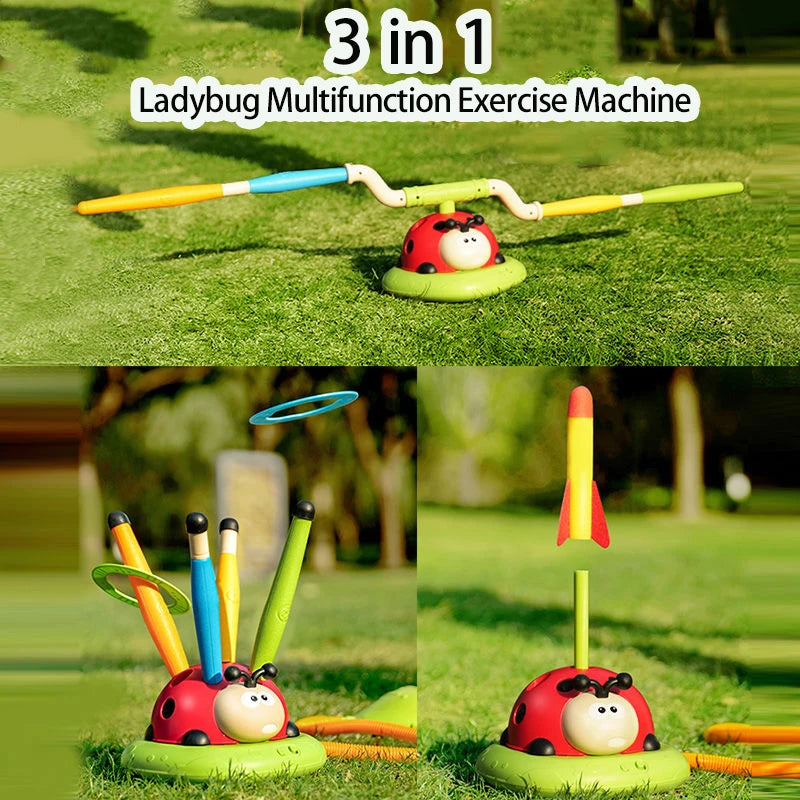 Ladybug Sport Entertainment Game