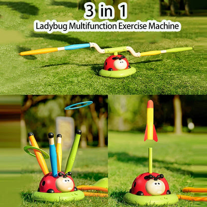 Ladybug Sport Entertainment Game