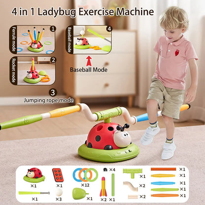 Ladybug Sport Entertainment Game