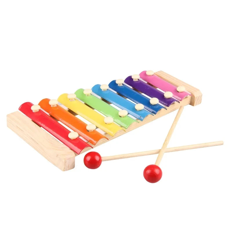 Educational Montessori Early Learning Toy