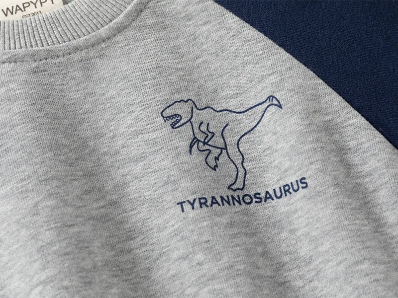 New Spring Autumn Children Clothes Set