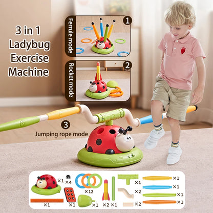 Ladybug Sport Entertainment Game