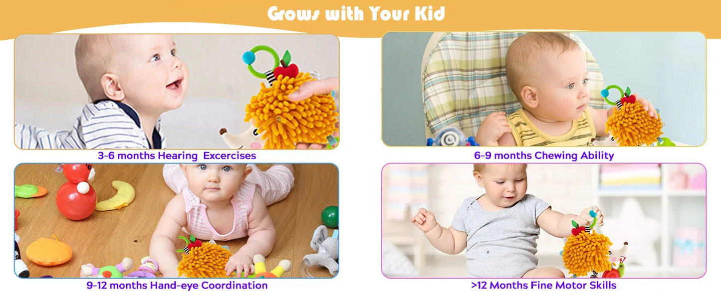 Rattles Crinkle Squeaky