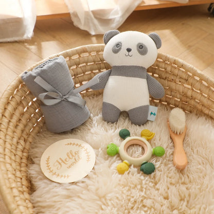 Newborn Milestone Card Crochet