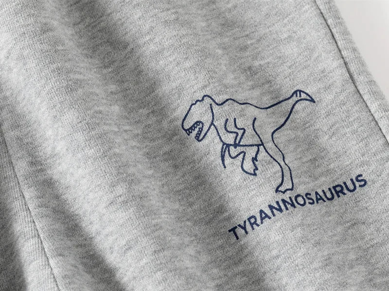 New Spring Autumn Children Clothes Set